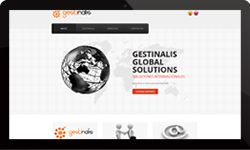 Gestinalis Global Solutions